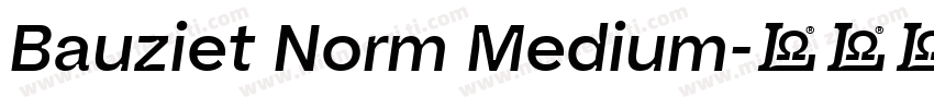 Bauziet Norm Medium字体转换